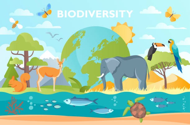 TENEF Biodiversity Program
